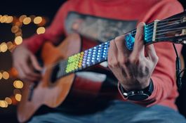 Fret Zealot Guitar Accessory